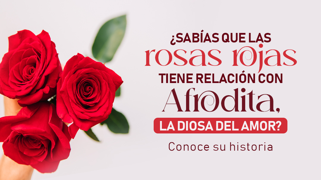 ¿Sabías que las rosas rojas tienen relación con Afrodita, la diosa del amor?